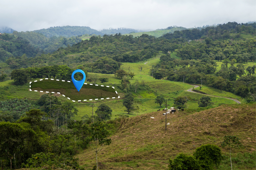 Geospatial & Environmental Services